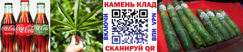Купить где  Светогорск  Cannafood конопля 