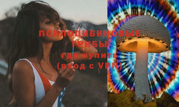 прущие грибы Зеленодольск