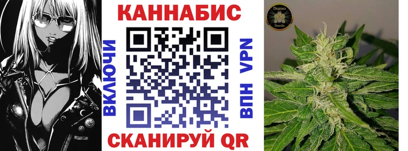 Бошки марихуана сатива Светогорск